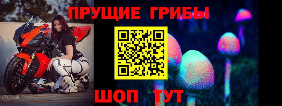 Псилоцибиновые грибы Psilocybe Кувандык