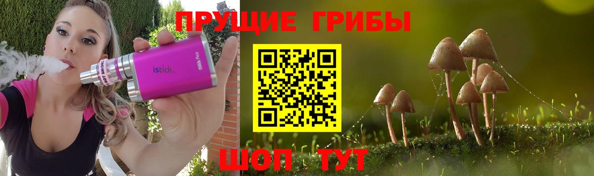 Псилоцибиновые грибы Psilocybine cubensis  Псилоцибиновые грибы Magic Shrooms  Вход с VPN  Кувандык 