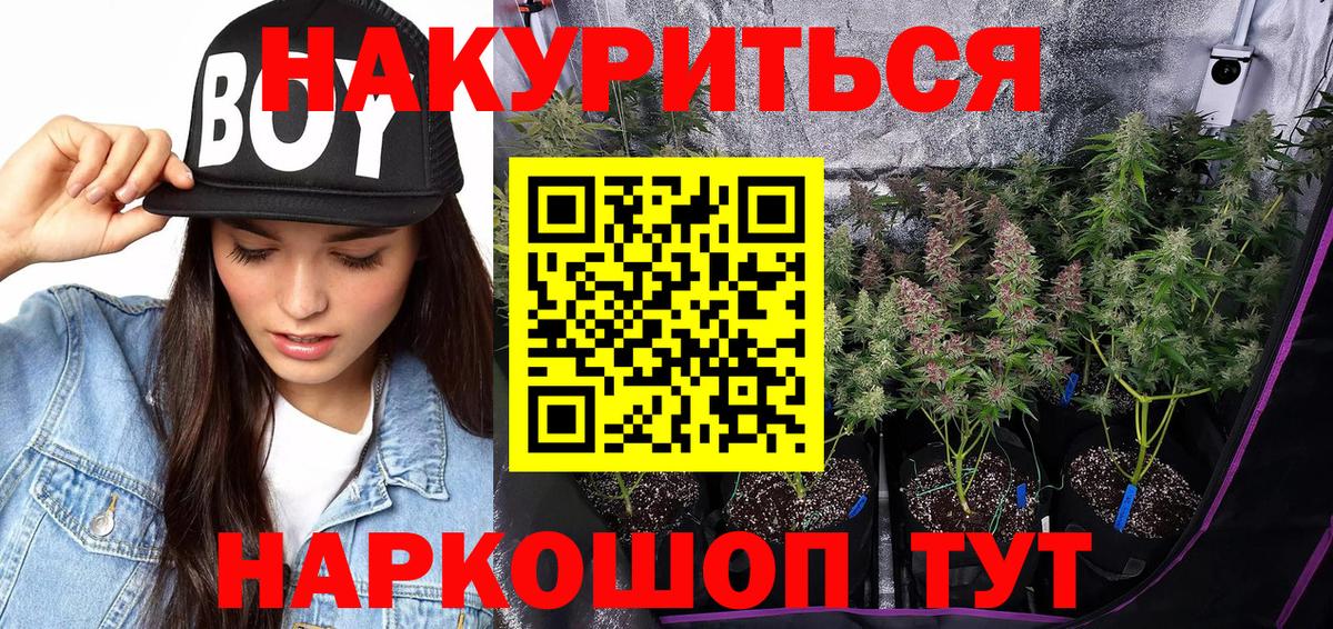 МАРИХУАНА план  Бошки марихуана сатива  Кувандык  МАРИХУАНА план  Конопля тримм  Вход с VPN 